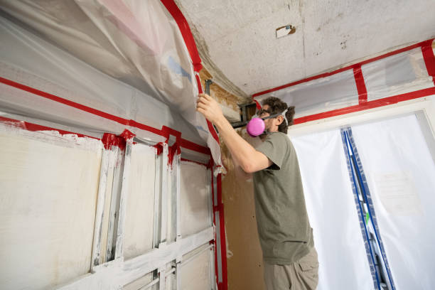 Best Forensic Mold Investigation  in Wentworth, NC