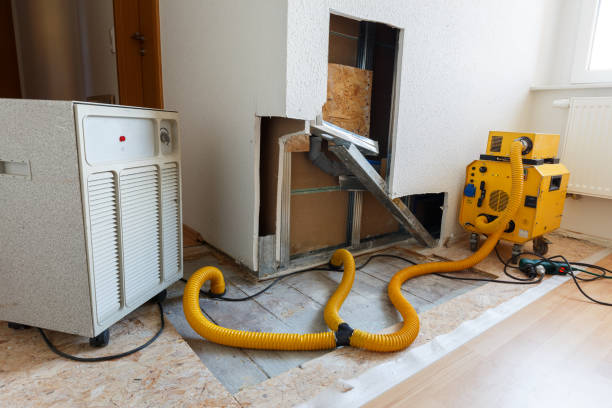 Best Post-Remediation Verification Testing  in Wentworth, NC