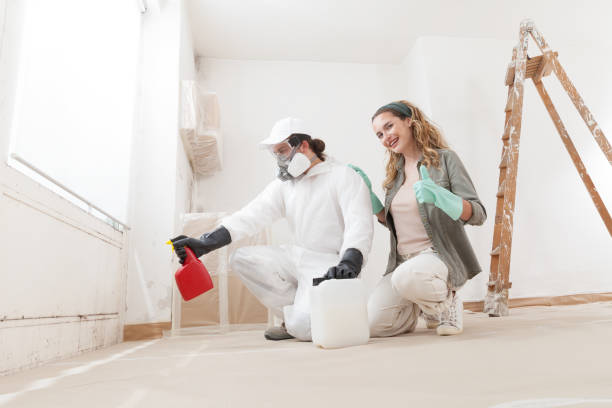 Best Comprehensive Air Testing for Mold Contaminants  in Wentworth, NC